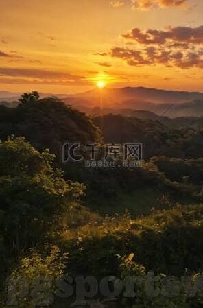 500足球比分14场-深度解析，500期足球比分14场竞猜背后的策略与智慧