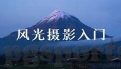 大羸家足球比分即时比分-揭秘大羸家现象，足球比分即时追踪背后的数据革命与观赛新体验