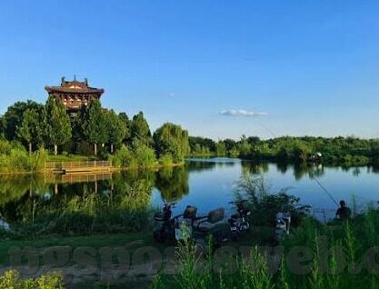 利物浦电竞足球比分-利物浦电竞足球，虚拟绿茵场上的热血对决与比分背后的故事