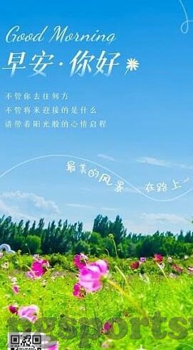 推荐足球比分app-解锁足球观赛新体验，三款高口碑足球比分APP推荐