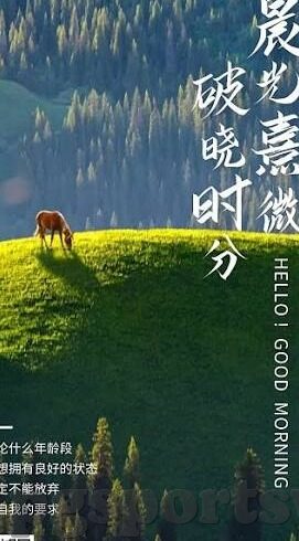 最常出现的足球比分-足球世界里的数字密码，那些最常出现的比分背后的故事