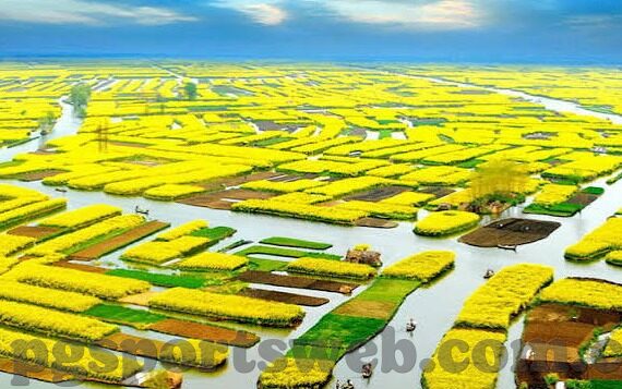 足球比分12日-12日足球比分大观，绿茵场上的激情与悬念