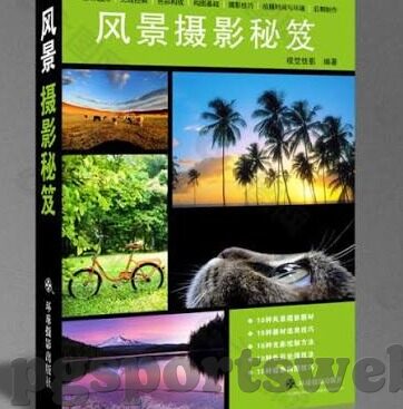 足球比分预测最准-足球比分预测，揭开最准背后的科学密码与实用策略